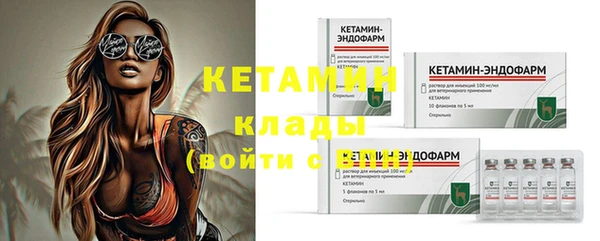 бошки Пересвет