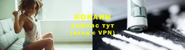 шишки Переславль-Залесский