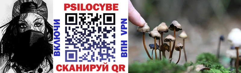 Псилоцибиновые грибы GOLDEN TEACHER  МЕГА ссылка  Пущино 